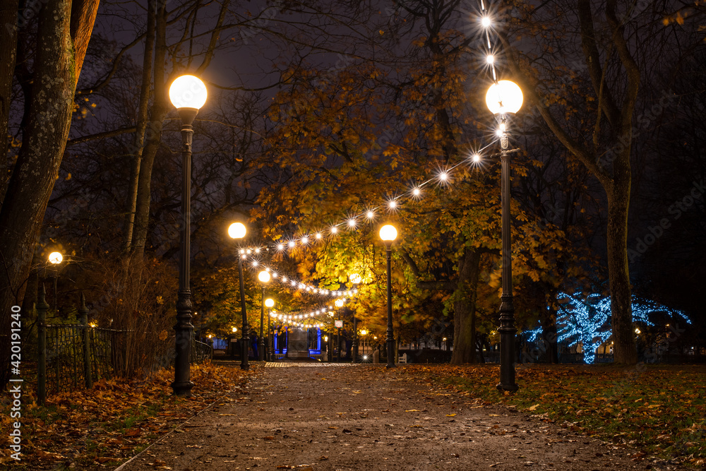 Autumn evening in a city park Kadriorg, Tallinn. Beautiful narrow illuminated alley and path covered with leaves. Selective focus.