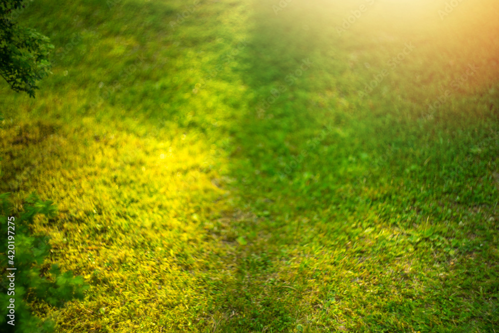 Summer background with green grass in artistic blur with sun rays