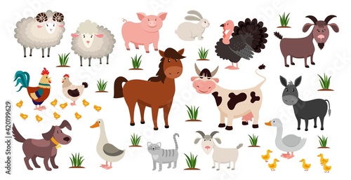Fototapeta Naklejka Na Ścianę i Meble -  Farm animals. Stock raising concept. Cartoon sheep and goat, horse or cow. Domestic birds with cute chickens. Funny pets and livestock. Natural agriculture, vector rustic colorful set