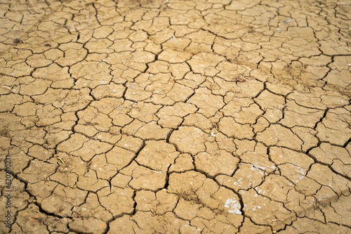 Terra arida nel deserto senza acqua