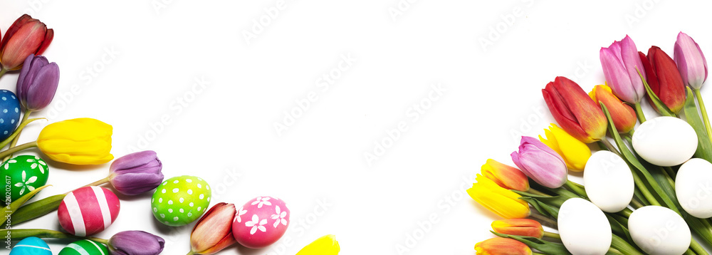 Easter eggs and tulips on white