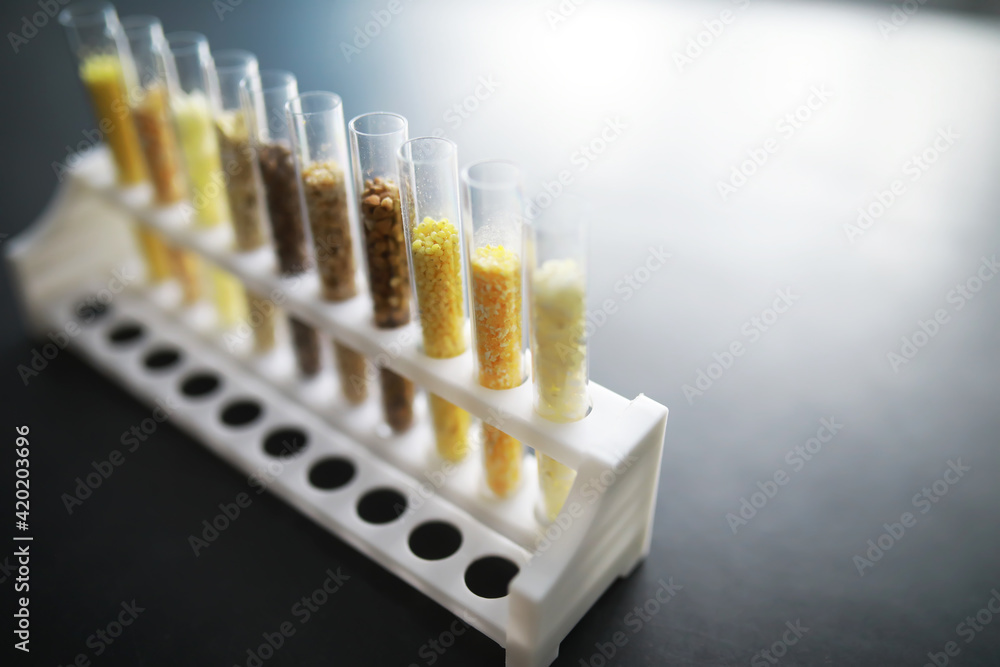 Research Analyzing Agricultural Grains And seeds In The Laboratory. Test tubes with seeds of selection plants.