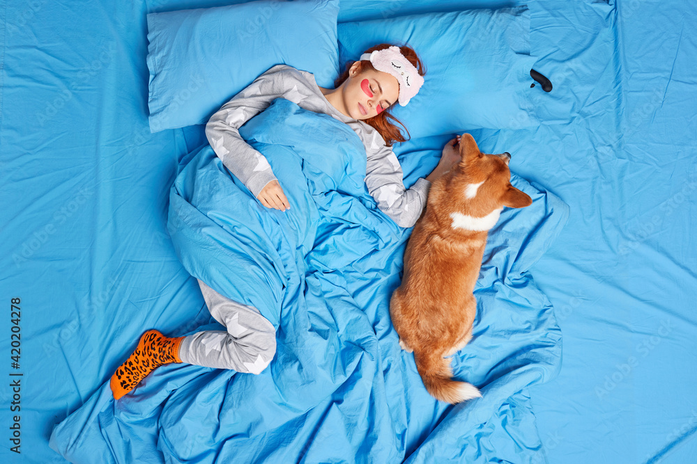 Φωτογραφία Top view of relaxed young redhead woman sleeps in bed together pet dog enjoy night time wears pajama undergoes beauty procedures
