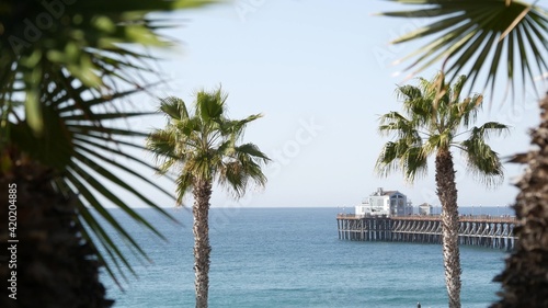 Pacific ocean beach  green palm trees and pier. Sunny day  tropical waterfront resort. Vista viewpoint in Oceanside  near Los Angeles California USA. Summer sea coast aesthetic  seascape and blue sky.