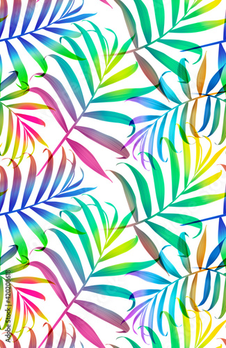 Tropical colorful palm leaves. seamless stylish fashion floral pattern, in Hawaiian style