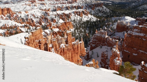 Bryce Canyon in winter, snow in Utah, USA. Hoodoos in amphitheater, eroded relief, panoramic vista point. Unique orange formation. Red sandstone and coniferous pine or fir tree. Eco tourism in America