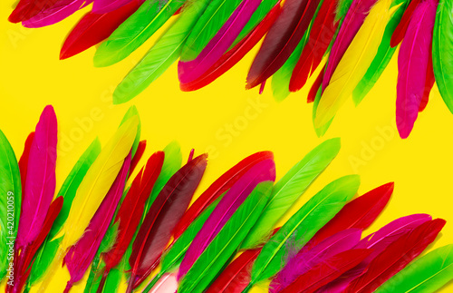 colorful feathers in the form of a border. isolated on yellow background