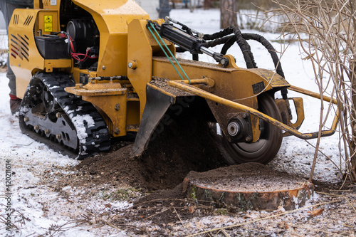 Fotografija Tree stump removing process with yellow stump grinder