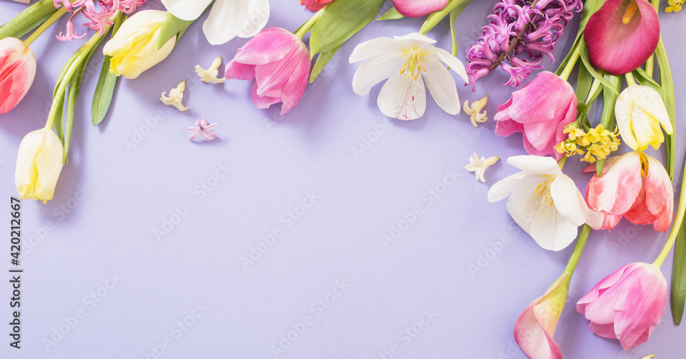 multicolored spring flowers on  purple background