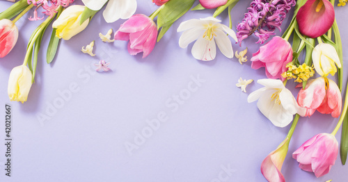 multicolored spring flowers on  purple background © Maya Kruchancova