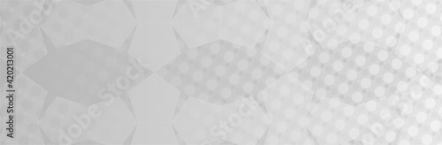 Hexagons and circles scattered evenly on the gray background interpenetrating each other, whole in a long frame
