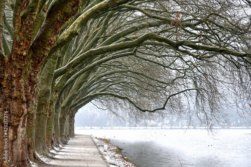 Baldeneysee im Winter 7 photo