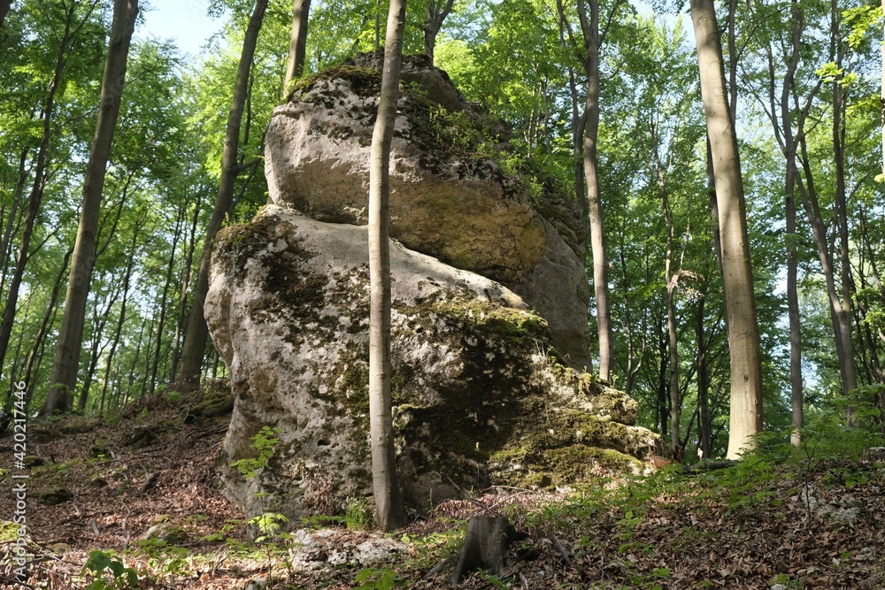 Rock formations in the Park Reserve in Zloty Potok, Trail of Karst Phenomena in Krakowsko-Czestochowska Upland, Silesia, Poland