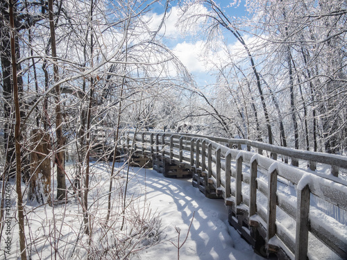 Wooden Trail path in a Beautiful winter landscape with Ice photo