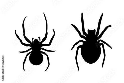 Spider Black Widow set. Black bug spider silhouette, isolated white background. Scary Halloween icon, symbol horror, animal arachnid, creepy dangerous insect, arachnophobia fear Vector illustration