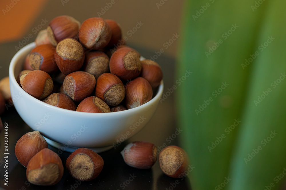 Heap, pile of brown nuts, hazelnuts lies in a small white plate and a black plate on the table, against a blurry warm background. Green leaf. Close-up Heap, pile of brown nuts, hazelnuts lies in a small white plate and a black plate on the table, against a blurry warm background. Green leaf. Close-up