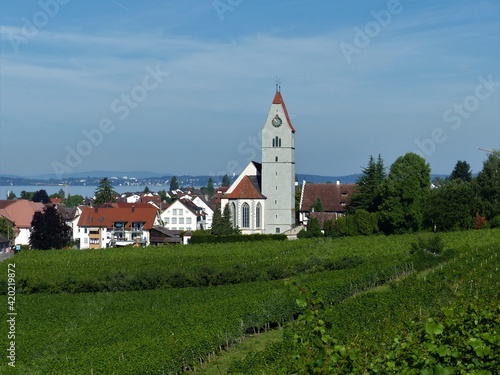 Panorama mit St.-Johann-Baptist-Kirche, Häusern und Weinbergen in Hagnau am Bodensee