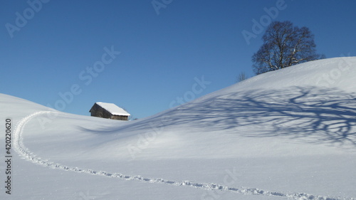 Winter im Allgäu, Schneeschuh Spur im Schnee © line_s