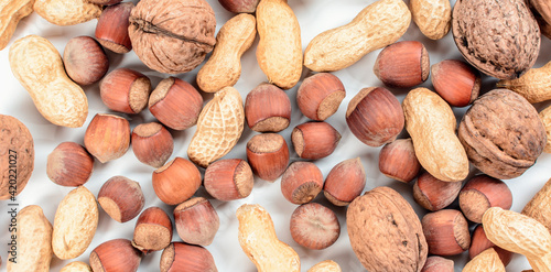 Wallpaper Mural Blend nuts on white background. Diet and healthy nutrition concept. Torontodigital.ca