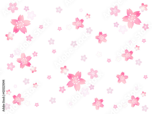 桜の花の背景素材2