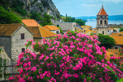 Flowery garden and mediterranean stone houses in Omis, Dalmatia, Croatia