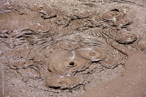Fotografi Mud pool bubbles on a volcanic spring
