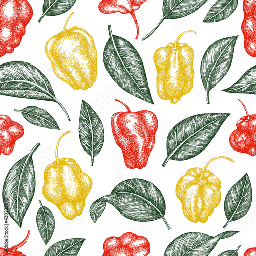 Hand drawn sketch style scotch bonnet pepper seamless pattern. Organic fresh vegetable vector illustration. Retro cayenne pepper background