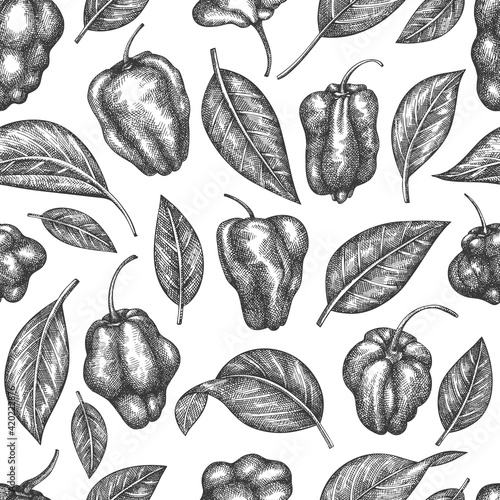 Hand drawn sketch style scotch bonnet pepper seamless pattern. Organic fresh vegetable vector illustration. Retro cayenne pepper background