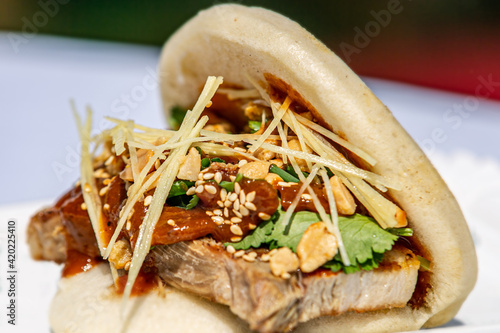 Pita stuffed with pork belly and Mexican salsa.Food styling for street food. Closeup.