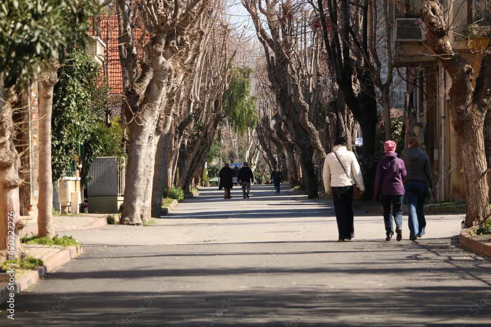 Those who enjoy the magnificent street designed with trees in Büyükada, Istanbul