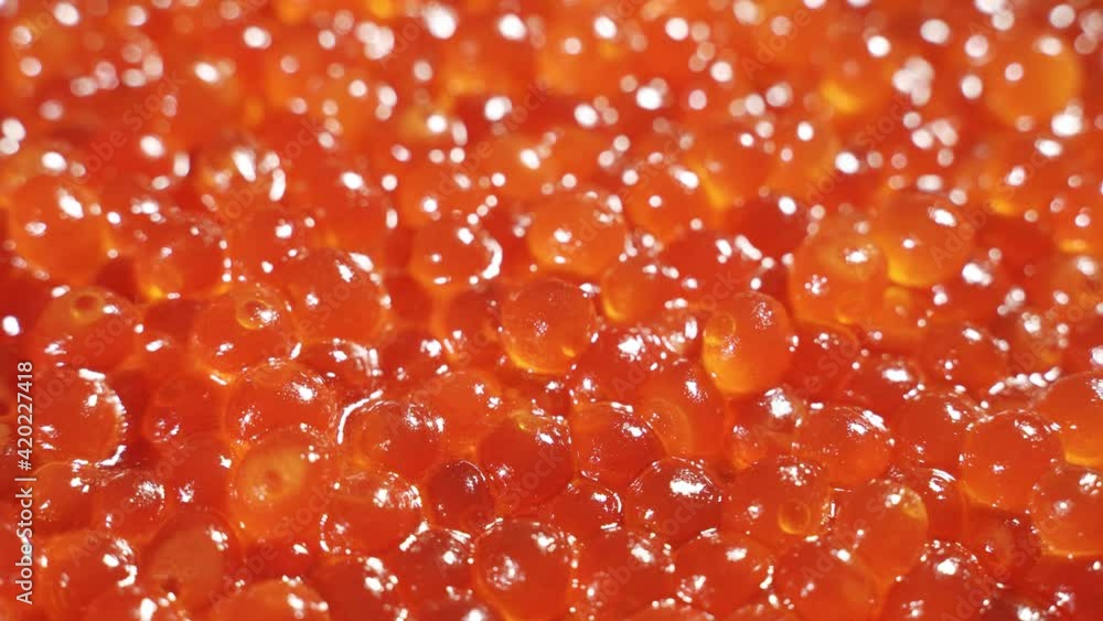A bunch of grains of red caviar rotates slowly. Macro background. A bunch of grains of red caviar rotates slowly. Macro background.