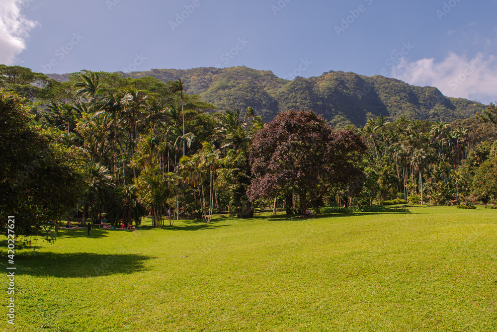 Beautiful Park in Honolulu