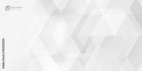 Fototapeta Naklejka Na Ścianę i Meble -  Abstract white and gray geometric hexagon overlapping background. Modern silver technology corporate banner web design. Vector illustration
