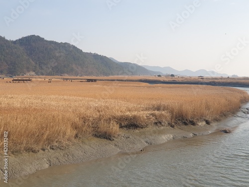 landscape with river