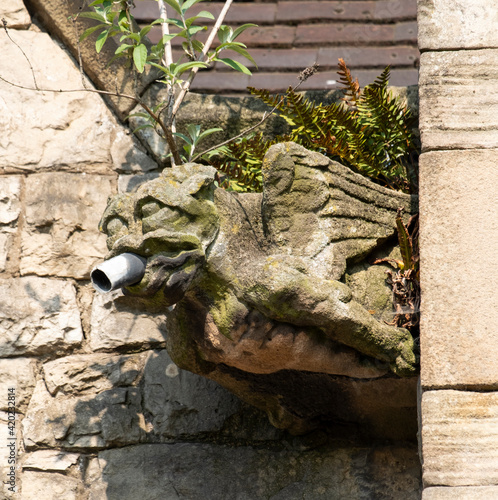 Old Victorian gargoyle water spout on a building