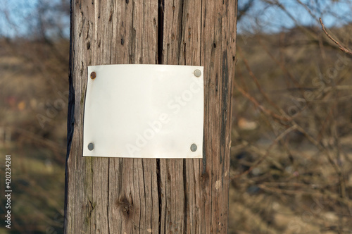 Blank sign stapled to a telephone pole