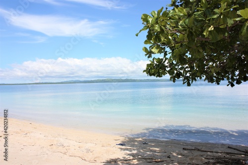 Beautiful landscape of beach on Pandanon Island in Cebu, Philippine - パンダノン島 ビーチ セブ フィリピン 