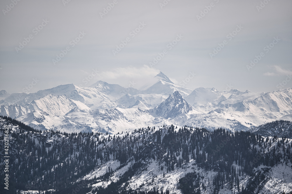 snow covered mountains in winter with forrest snow covered mountains in winter with forrest