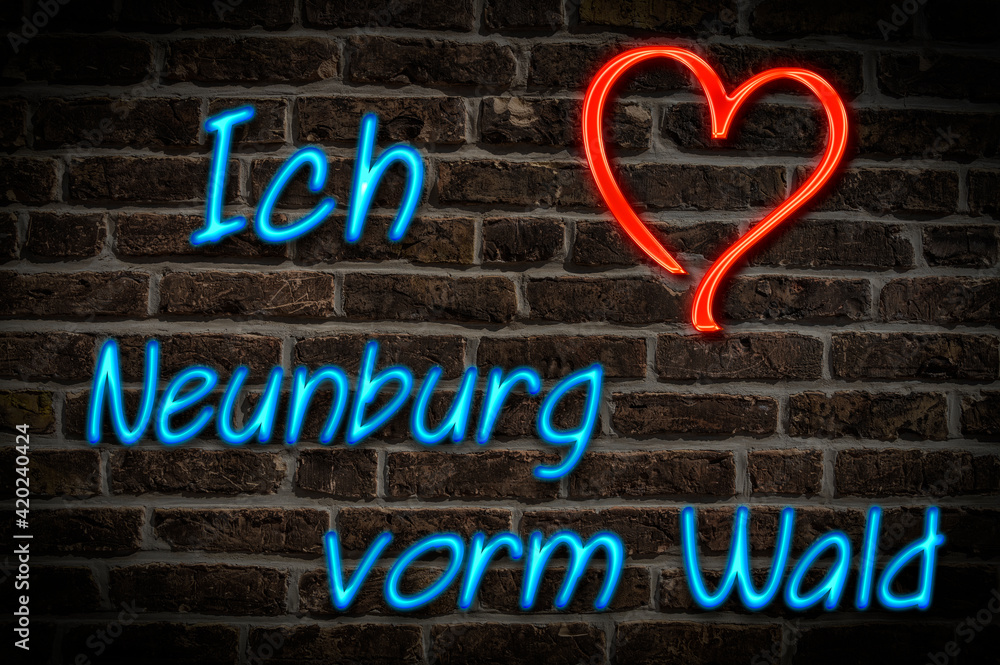 Obraz premium Neunburg vorm Wald