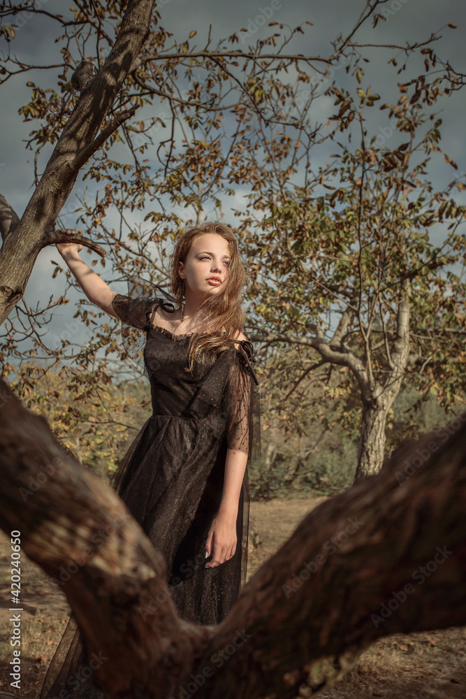a girl in the park stands on a tree in a black long dress in the fall in the rays of the setting sun a girl in the park stands on a tree in a black long dress in the fall in the rays of the setting sun