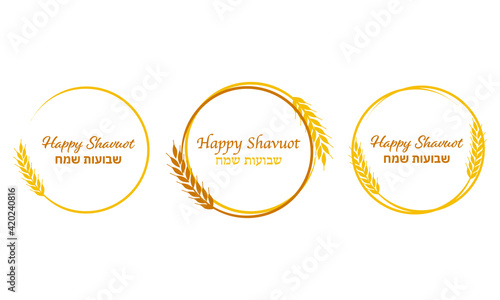 shavuot, happy shavuot, wheat, grain, holiday, jewish holiday, Illustration, round, circle, vector, gold, white, ear, flyer, banner , text, Hebrew, English , isolated, agriculture, plant, crop, cereal