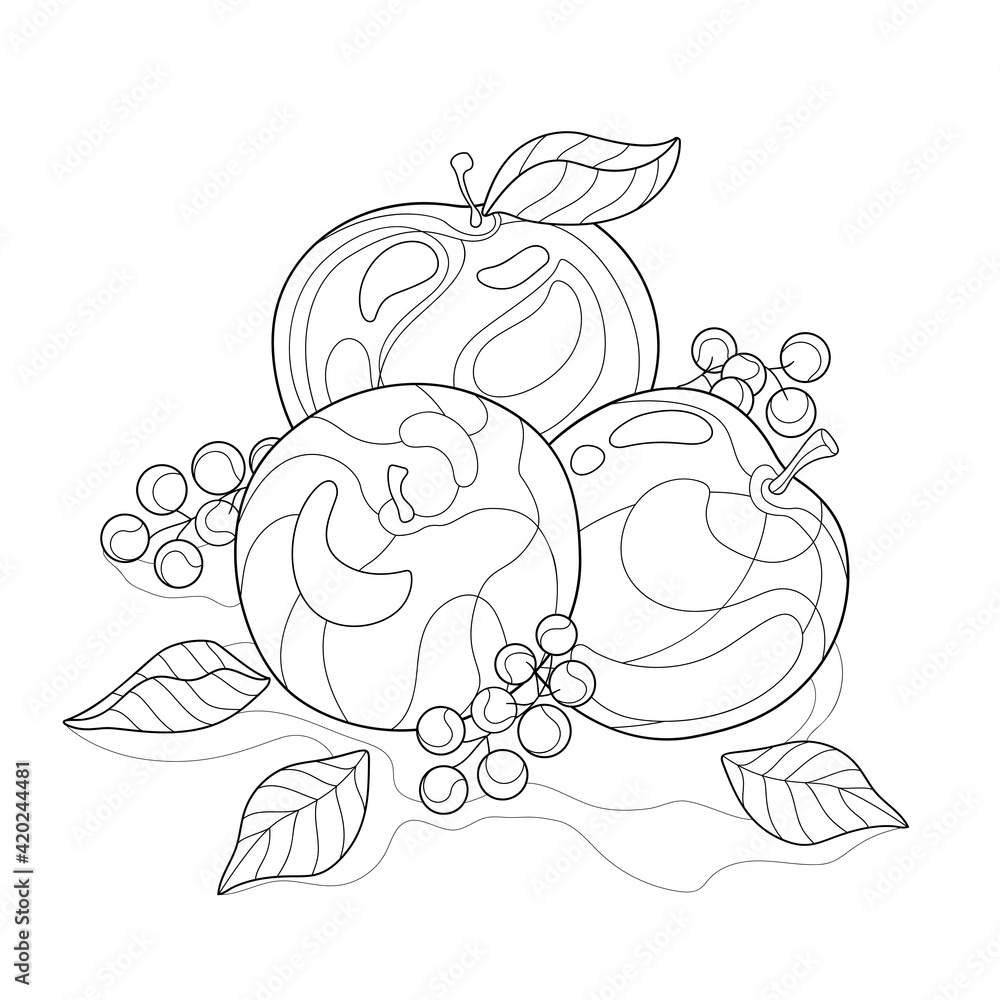 Apples with berries and leaves on a white isolated background. Fruit summer illustration. For coloring book pages. Apples with berries and leaves on a white isolated background. Fruit summer illustration. For coloring book pages.