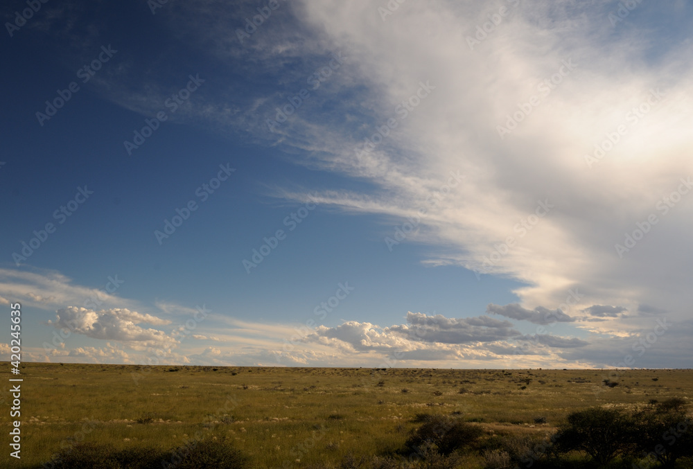 The endless vista of the Green Kalahari against a blue sky with dramatic louds The endless vista of the Green Kalahari against a blue sky with dramatic louds