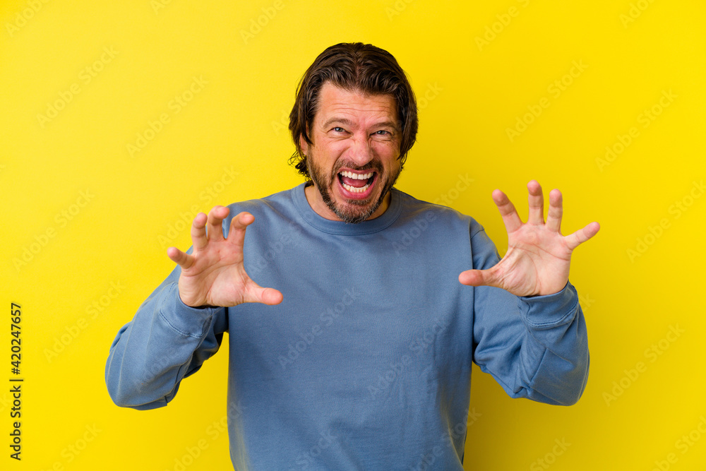 Middle age caucasian man isolated on yellow background showing claws imitating a cat, aggressive gesture. Middle age caucasian man isolated on yellow background showing claws imitating a cat, aggressive gesture.