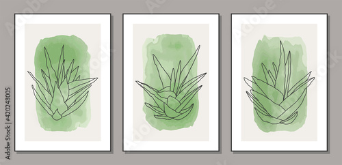 Set of minimalist botanical line art composition with leaves abstract collage
