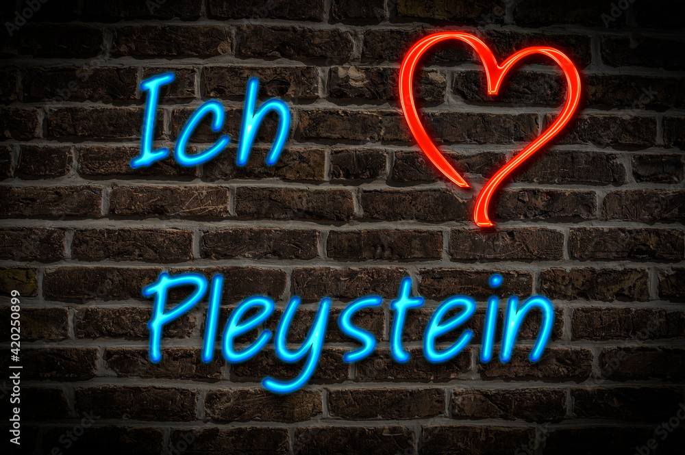Pleystein Pleystein