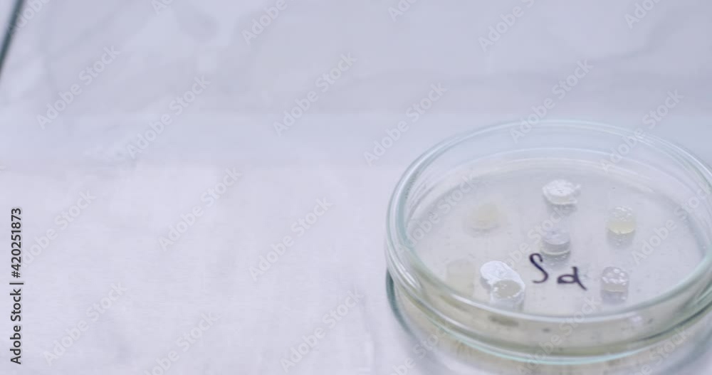 Petri dishes with dangerous bacteria inside a sterile laminar flow cabinet. The camera pans on the slider to show the Petri dishes. Petri dishes with dangerous bacteria inside a sterile laminar flow cabinet. The camera pans on the slider to show the Petri dishes.