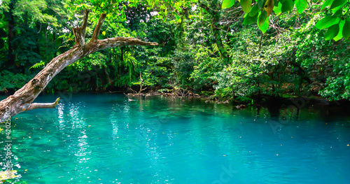 Beautiful natural turquoise water surrounded by lush, green tropical forest at the popular Blue Hole on the Pacific Island of Vanuatu © IKT224
