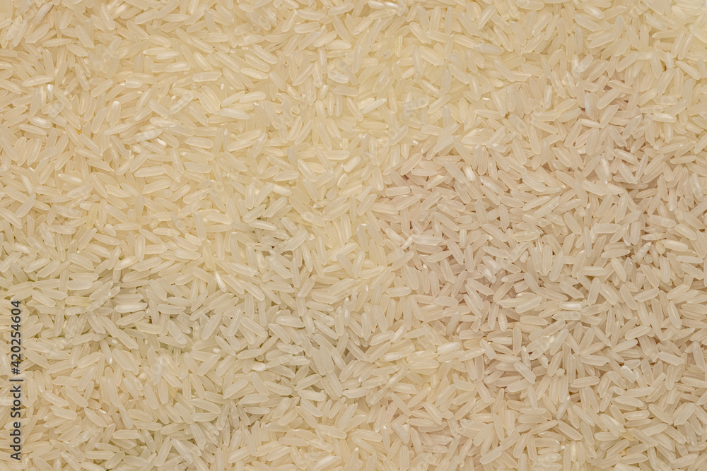 Closeup rice seed background, texture. Closeup rice seed background, texture.
