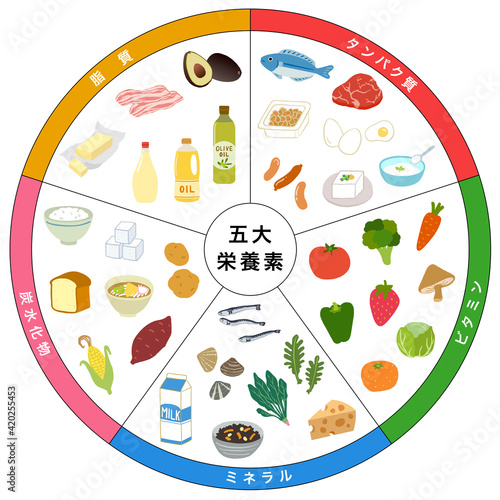 五大栄養素　食品　一覧表
